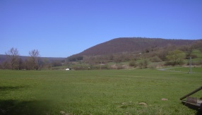 Image 01